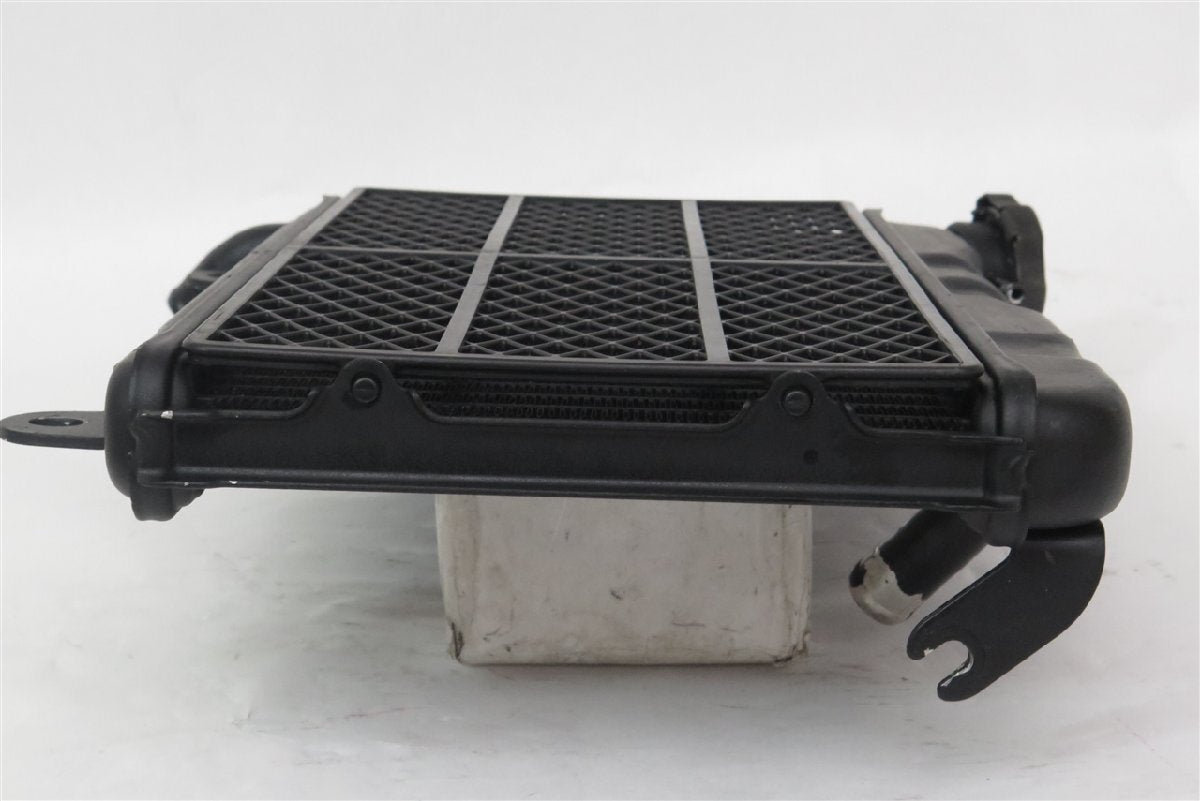 Genuine 1986 Suzuki RG250 Gamma Radiator – GJ21B 4th Generation (GJ21B-114) | OEM Used Part