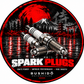 Spark Plugs