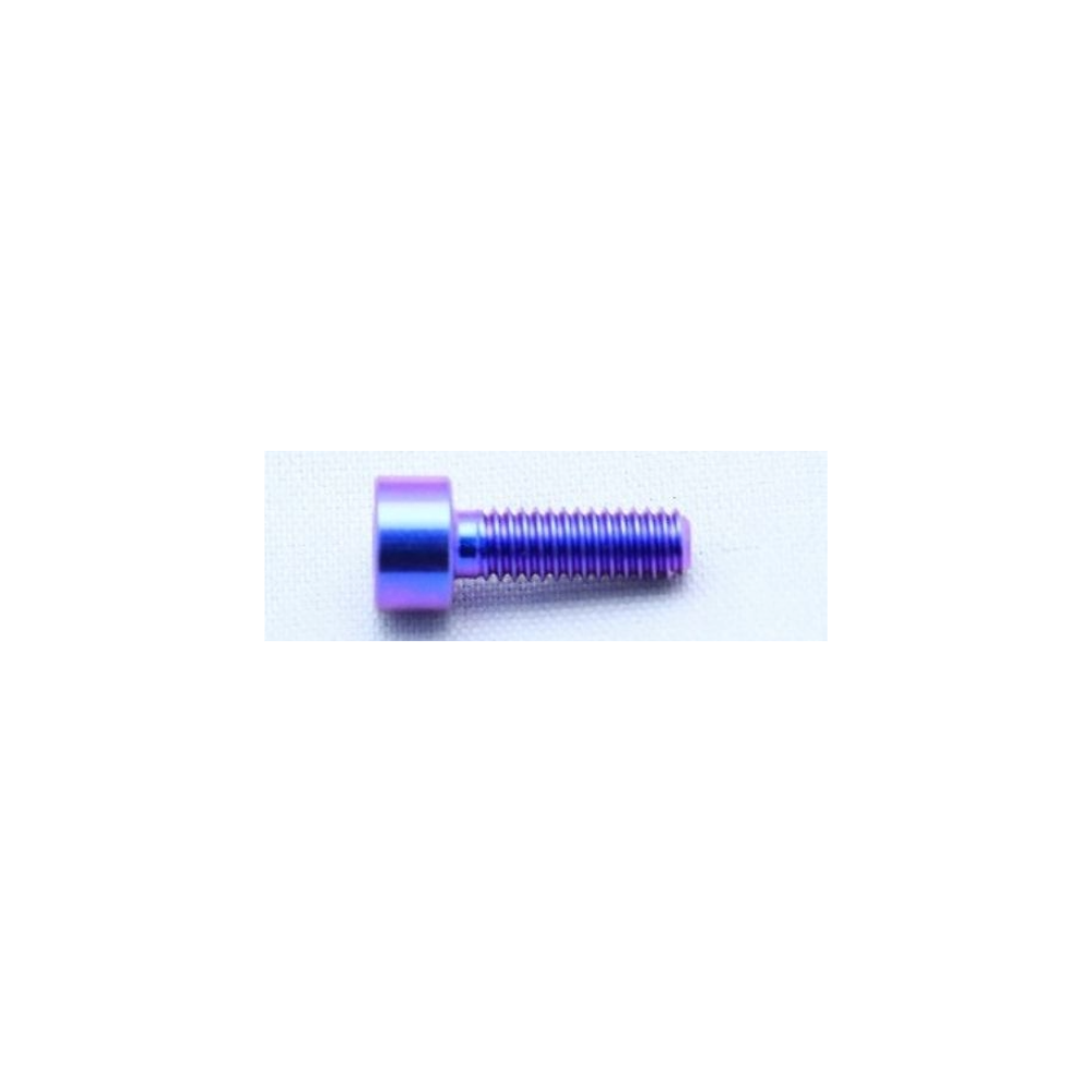 T2RACING TITANIUM CARBURETOR BOLT M4 x 12mm – 64 TITANIUM fits NSR250R MC18 / MC21 / MC28