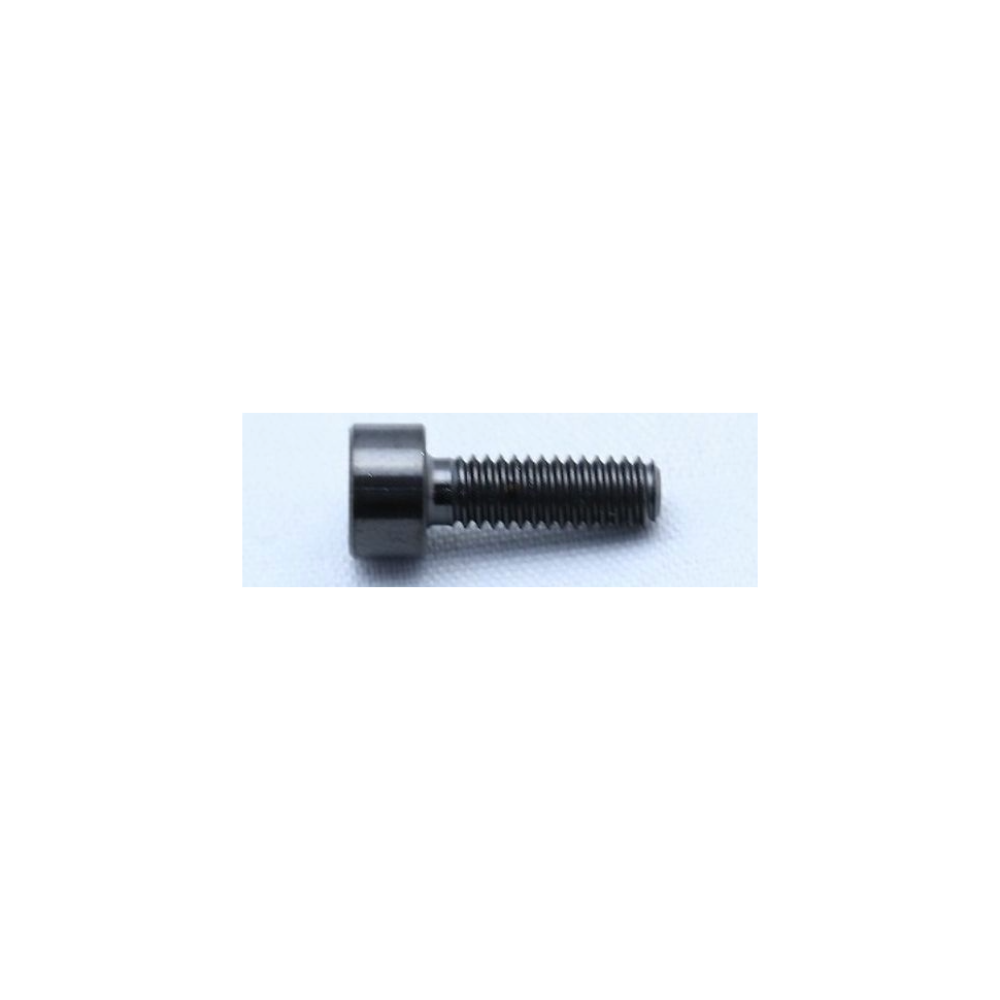 T2RACING TITANIUM CARBURETOR BOLT M4 x 12mm – 64 TITANIUM fits NSR250R MC18 / MC21 / MC28