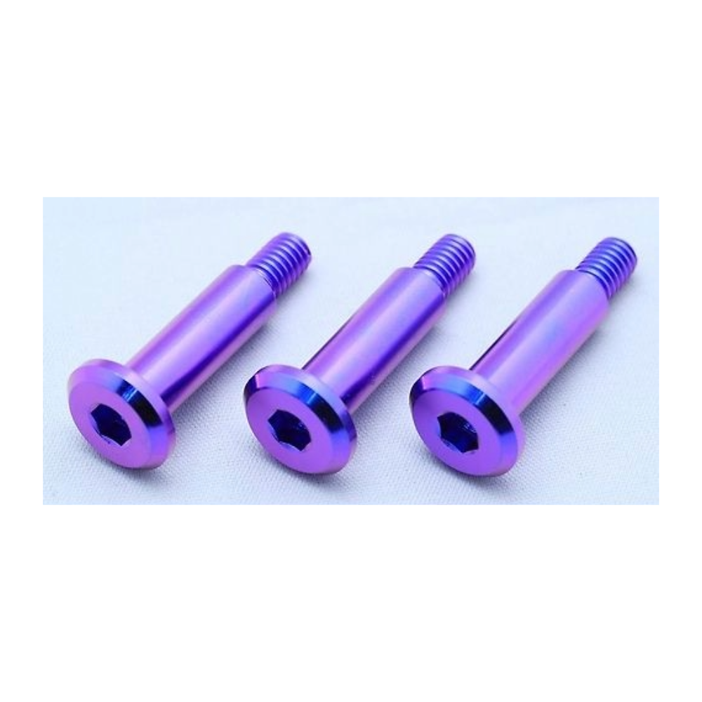 T2RACING TITANIUM METER BOLTS fits NSR250R MC28