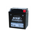 SSB AGM Motorcycle & Powersports Battery (YB10L-A2)