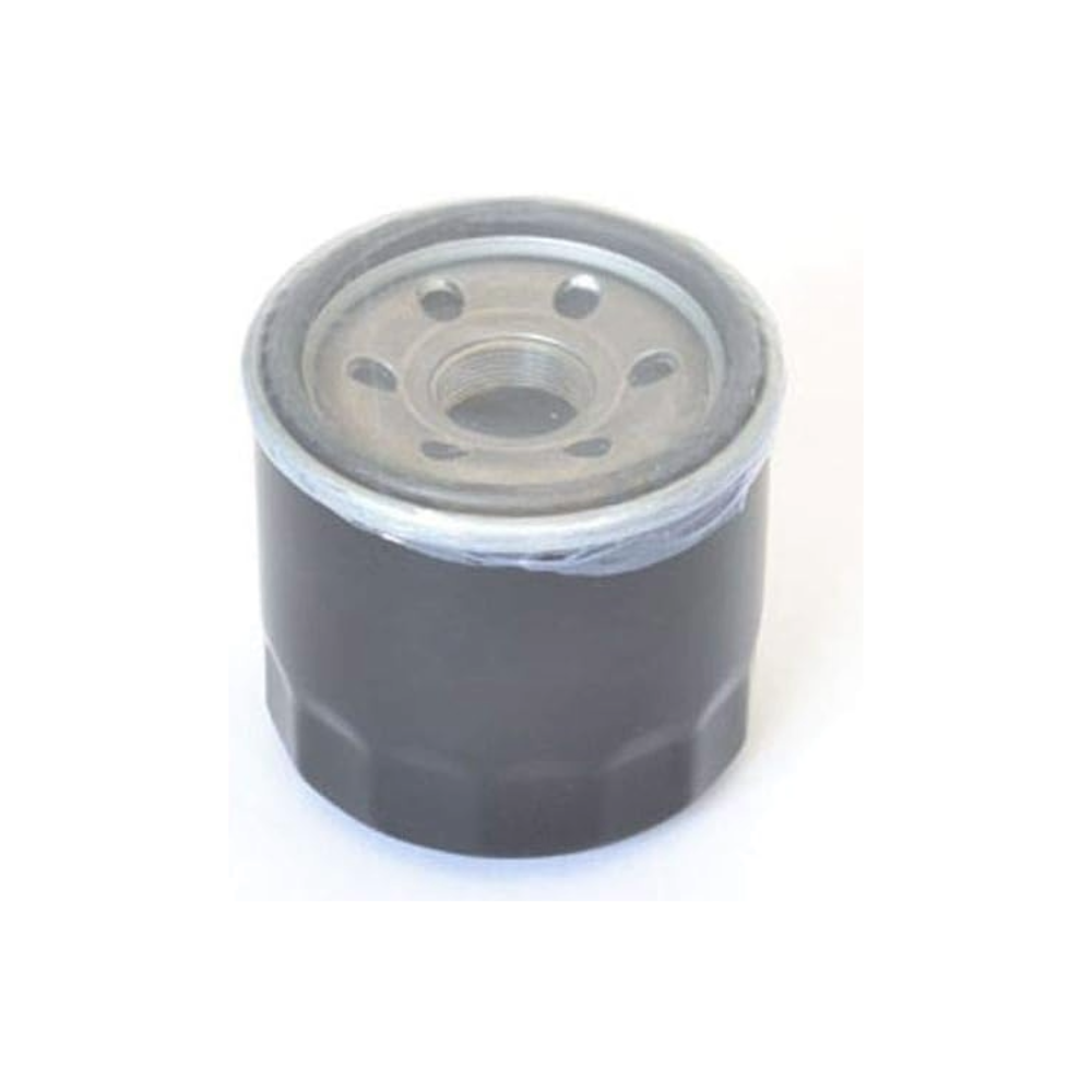 ATHENA Oil Filter – FFP009 (HF138)