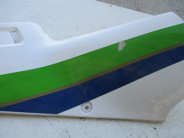 Kawasaki KR-1 Genuine Left Side Cover (L) | OEM | Rare Old-School 2-Stroke Racer Replica