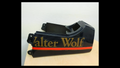 Genuine Tail / Seat Cowl – Suzuki RG250Γ Walter Wolf (WW) | Rare OEM Part
