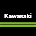 Kawasaki OEM Fuel Filter – Part #49019-1081